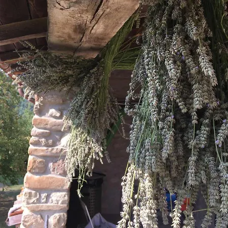 Casa de Campo Monte Bibele