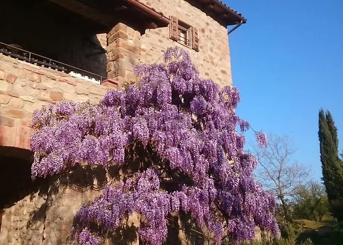 Kır Evi Monte Bibele *