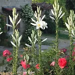 Country house Monte Bibele Monterenzio