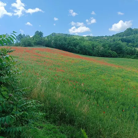 Monte Bibele Country house *