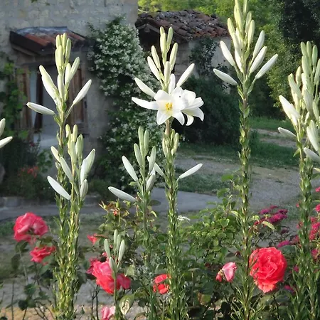 Landhuis Monte Bibele Monterenzio