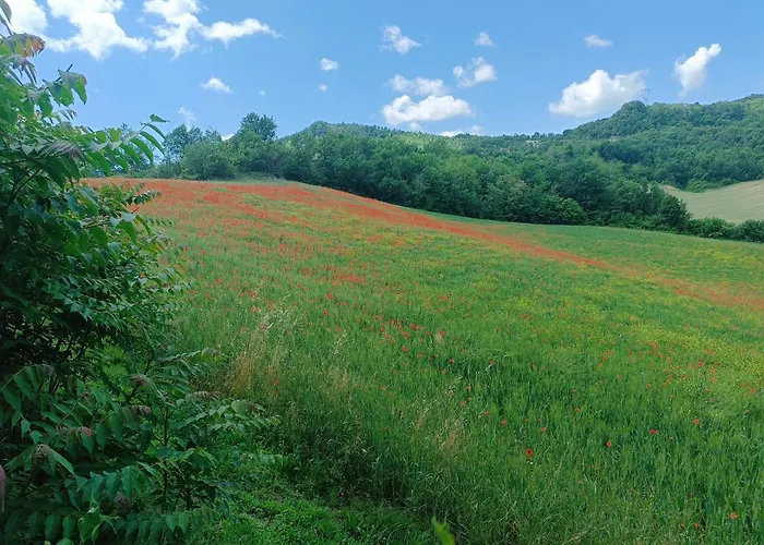 Monte Bibele Gospodarstwo wiejskie *