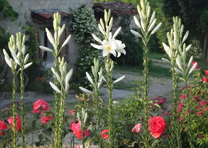 Country house Monte Bibele Monterenzio